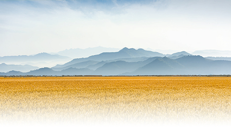 新时代文学的根扎向广阔大地（坚持“两创”·关注新时代文艺）