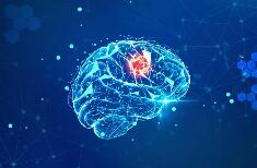 寒假来临，众多电子“陪娃神器”纷纷登场——警惕过度接触屏幕影响孩子大脑功能