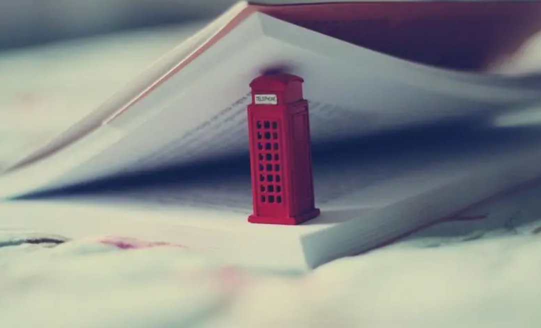 教育部：2023年全国高中毛入学率达91.8%