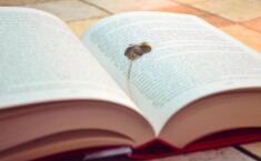 到2025年，四川优化调整本科高校20%学科专业布点