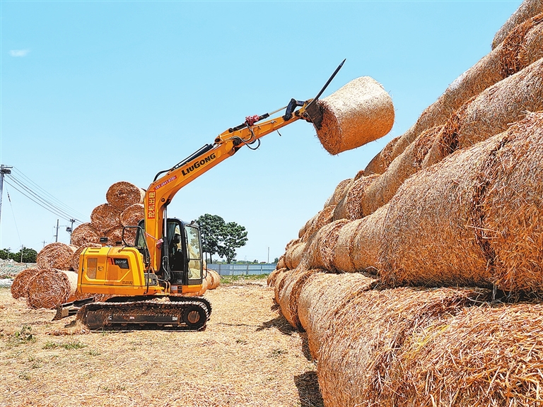 小麦颗粒归仓后 麦秸也都成了宝