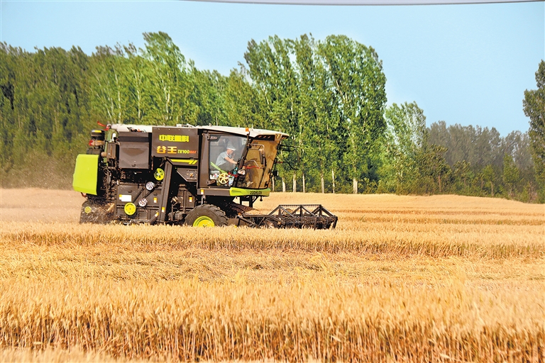 河南全面进入“三夏”时间