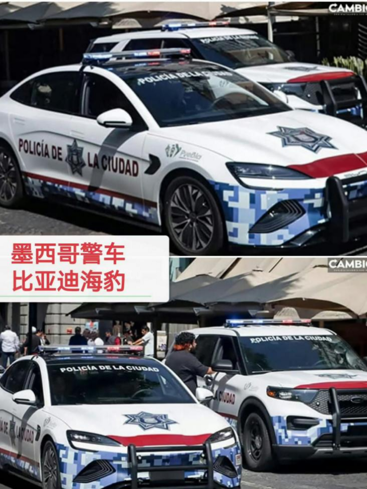 20251208_160409_221075.png 图片2(1).png