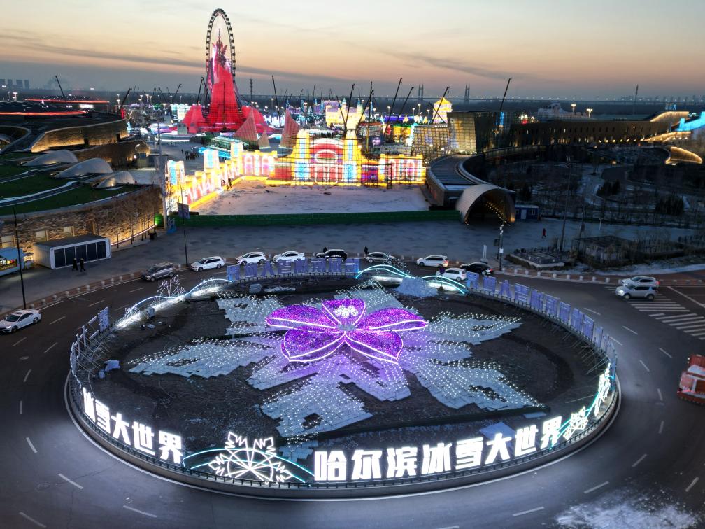 20251215_093311_270112.jpg 1.jpg