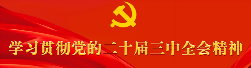 党的二十届三中全会精神学习辅导材料出版